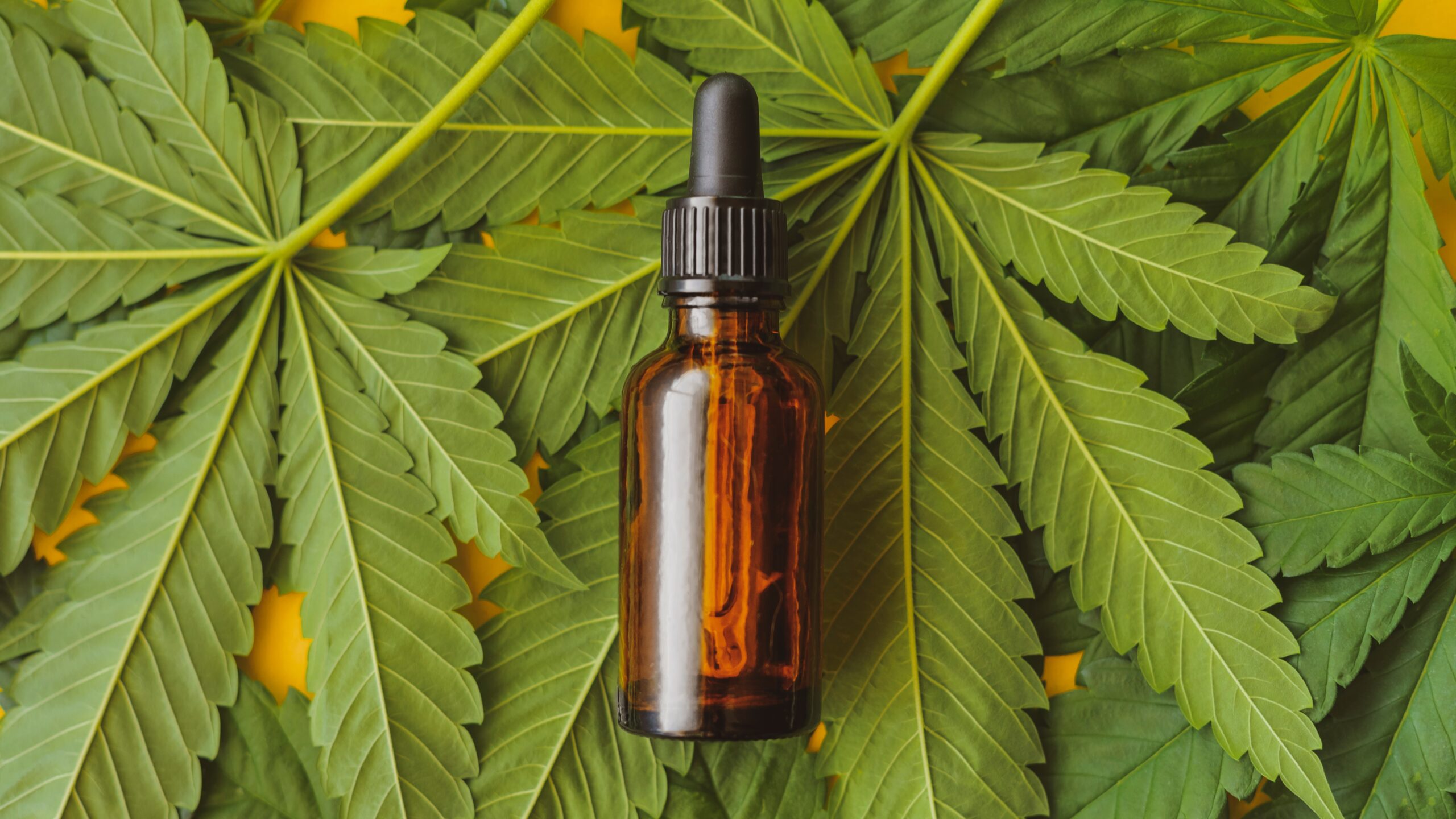 Dosing,Cbd.,Cannabis,Hemp,Cbd,In,Oil,Dropper,Bottle,For test