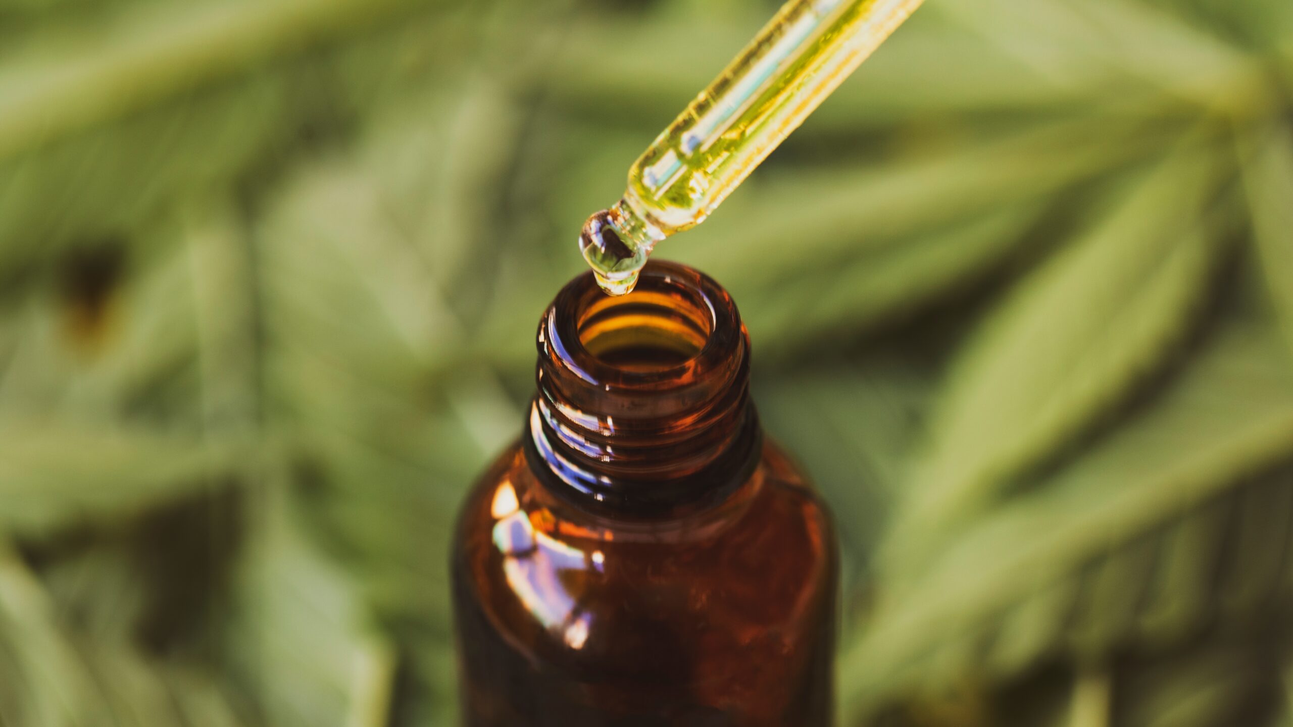 Dosing,Cbd.,Drop,Of,Hemp,Based,Pharmaceutical,Cbd,Oil,With Wetality netaural hemp oil best quality extract drop