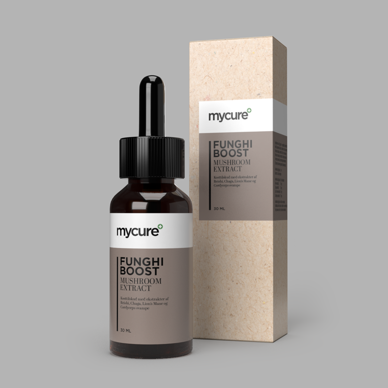Mushroom supplement funghi boost Wetality drops