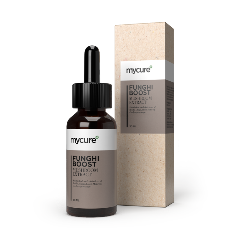 Mushroom supplement funghi boost Wetality drops